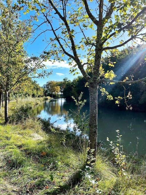 Insolite Peniche Amazonie Canal Du Midi *
