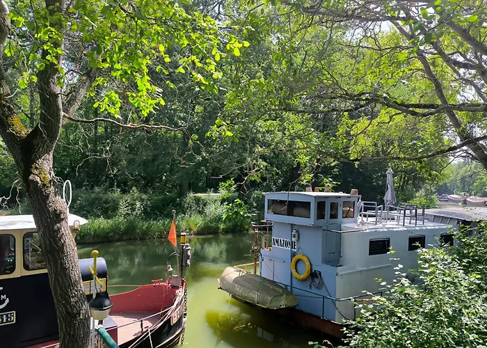 Insolite Peniche Amazonie Canal Du Midi