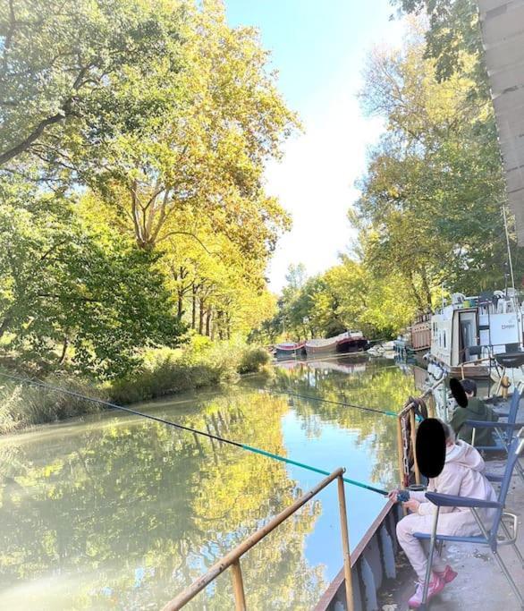 Insolite Peniche Amazonie Canal Du Midi