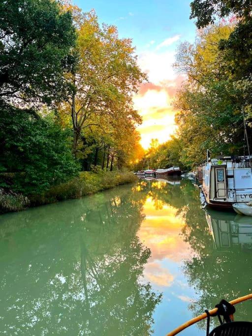 Insolite Peniche Amazonie Canal Du Midi